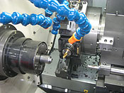 NC���Չ��H